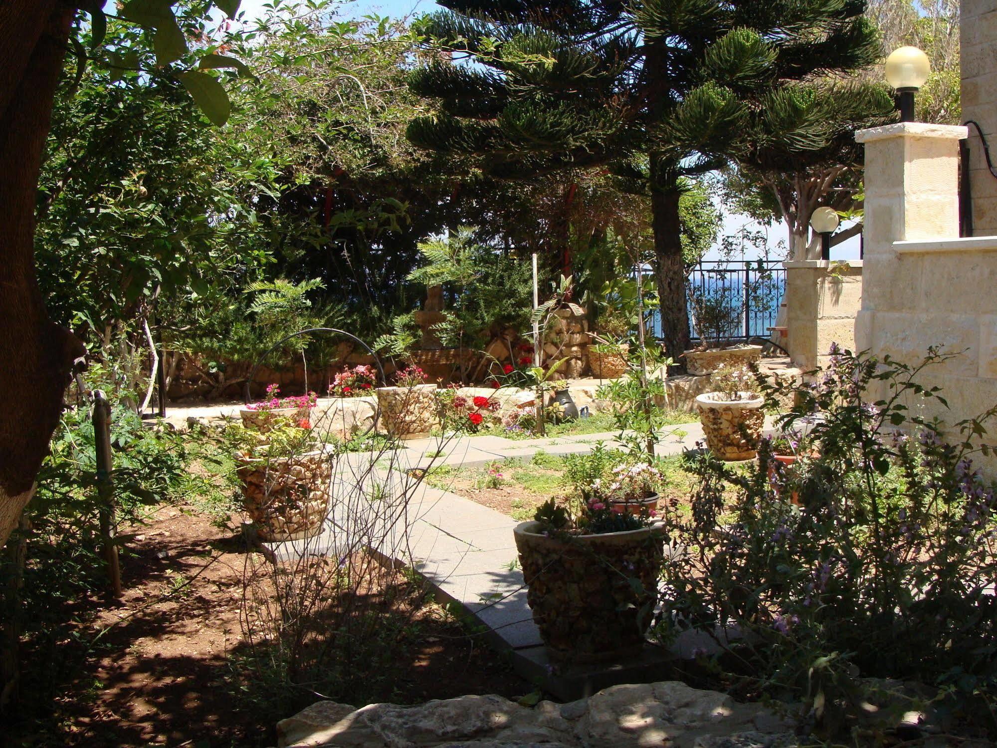 Tamer Guest House Хайфа Экстерьер фото